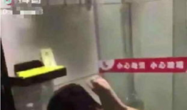 无打码视频,内容全览与精彩瞬间