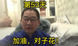 金铲铲直播s91dx,金铲铲直播界的璀璨明星