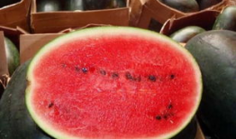 吃瓜爆料黑反差曹县,揭秘曹县背后的惊人反差