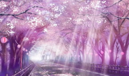 樱花动漫网页,探寻日本动漫文化的魅力之旅